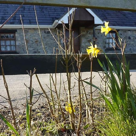 The Hill Cottage Galway Luaran gambar