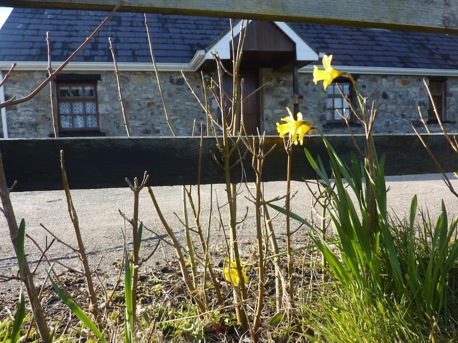 The Hill Cottage Galway Luaran gambar